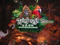 rainforestcafe1