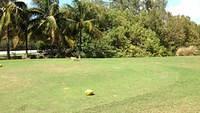 Key West Golf Club video