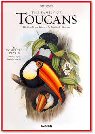 John Gould's Family of Toucans