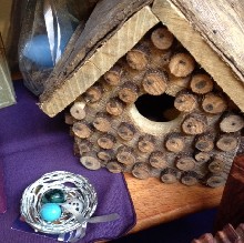 birds nests