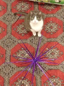 Otis
