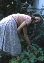 1_CT/1982_butt_garden.jpg