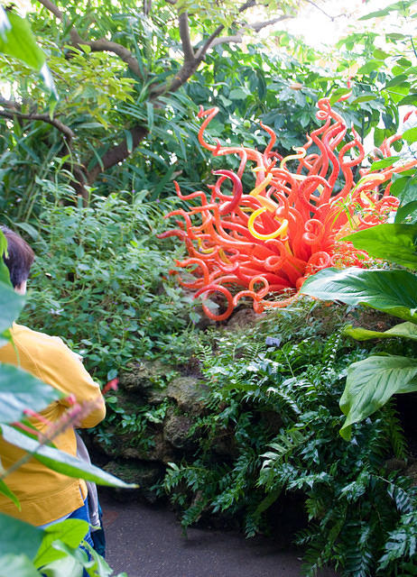Pit_Chihuly_5289