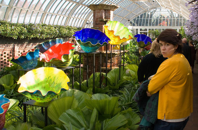 Pit_Chihuly_5314