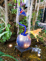 Pit_Chihuly_5284