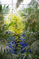 Pit_Chihuly_5292