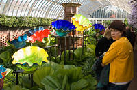 Pit_Chihuly_5314