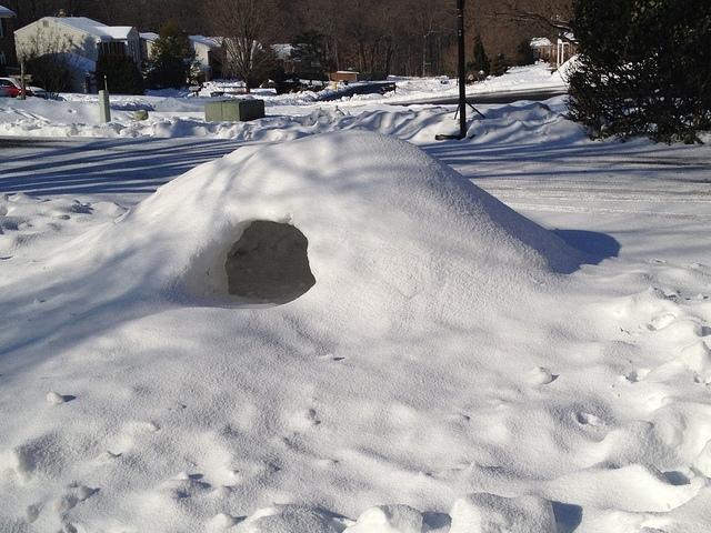 We had a pretty snowy winter. Nathan's igloo.