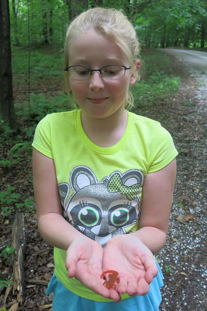 Julia and a red eft